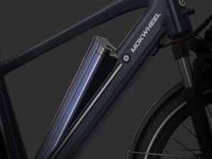 Mokwheel Asphalt 48V 15Ah Battery